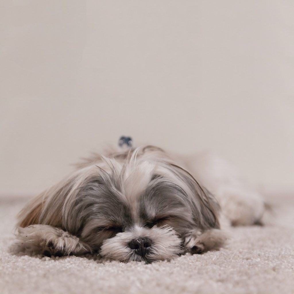 Quel est le meilleur produit naturel pour dormir ?
