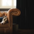 Quels sont les avantages des micro siestes ?