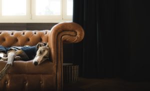 Quels sont les avantages des micro siestes ?